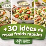meilleures idees de repas froids rapides